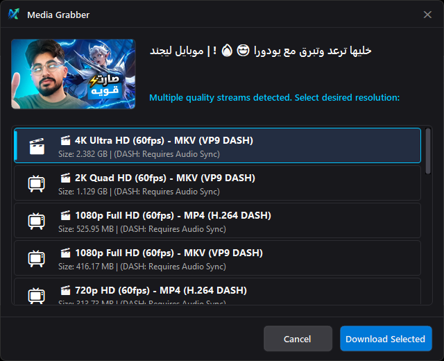 Nyxor Media Grabber